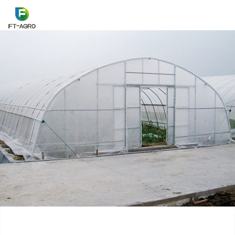 Professional Film Covering plastic tunnel greenhouse