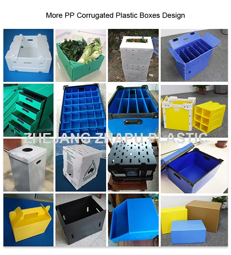 Polypropylene plastic box organic vegetable foldable honeycomb pp grape packaging banana plain corrugated box for fruit