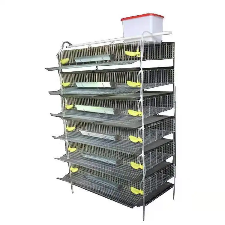 H type 6 tiers 288 capacity quail cage with drinking feeding system wire mesh cage galvanized quail cage