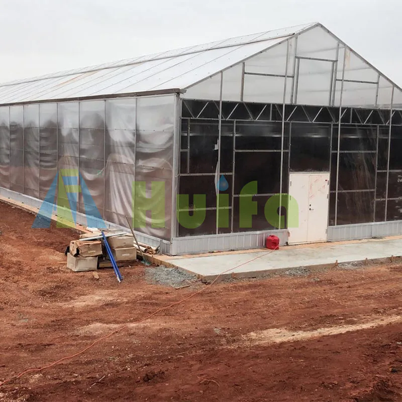 Single-span automatic Blackout policarbonate sheets greenhouse