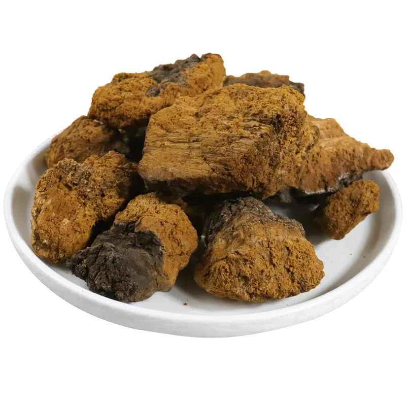 Siberian Lingzhi Birch mushroom Ganoderma lucidum cultivate wild Black Lingzhi Brown Hole Chaga