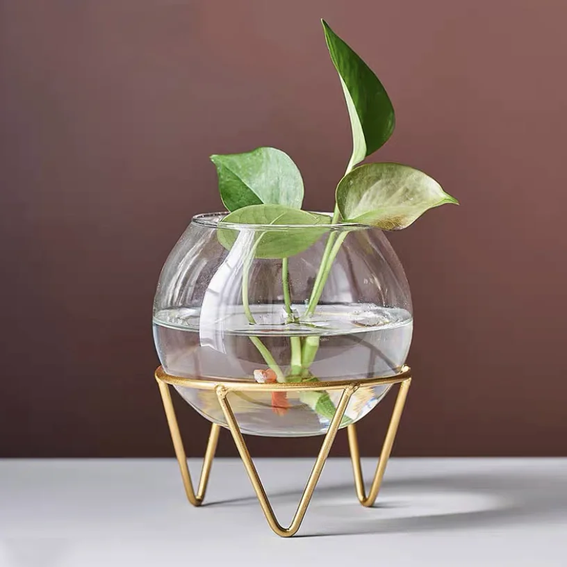 Minimalist Living Room Dining Table Gold Stand Plants Round Glass Vase Decoration Green Dill Glass Plant Holder Ware Modern