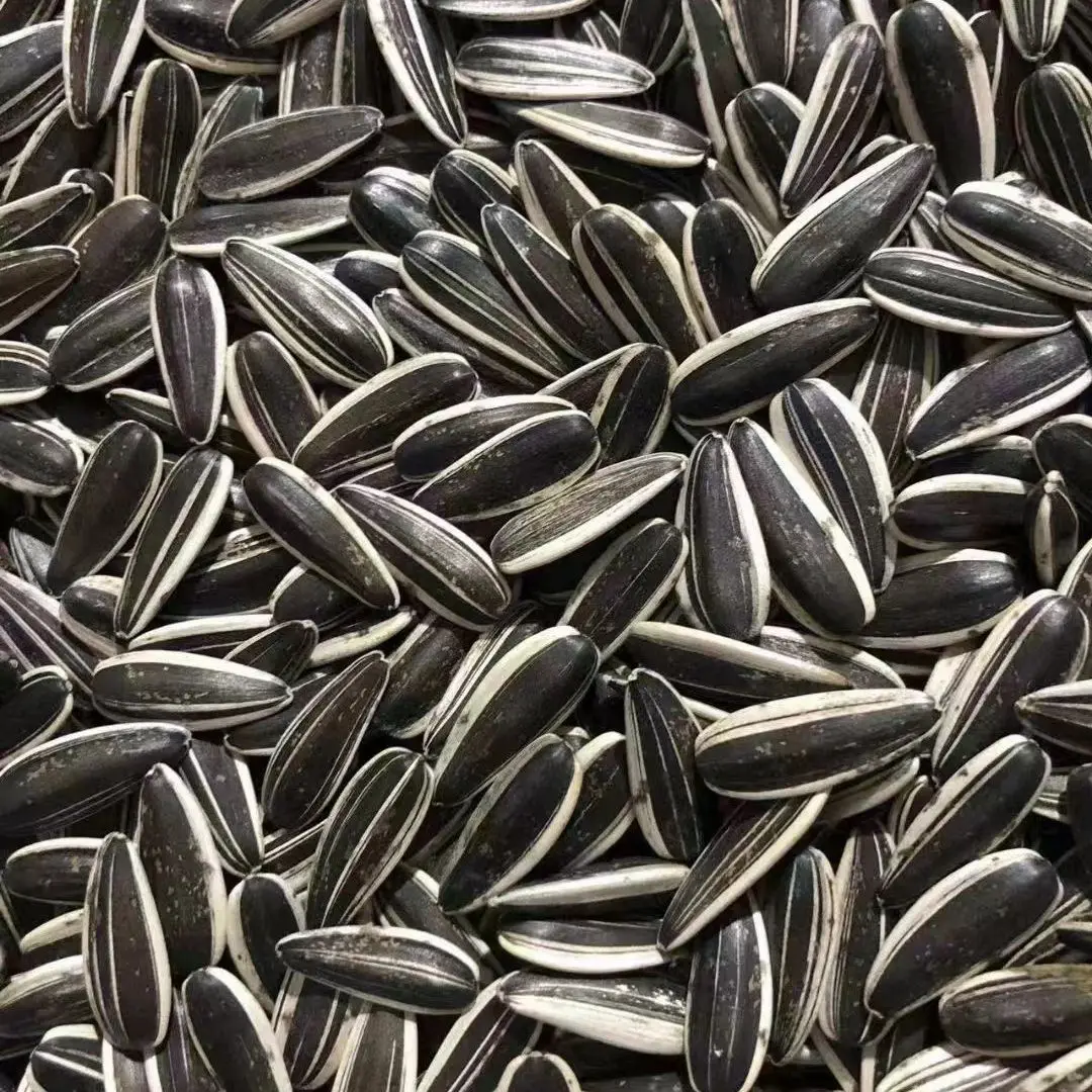Premium Factory Supplier Wholesale Sunflower Seed 361 Sunflower Seeds Fresh Sunflower Seeds
