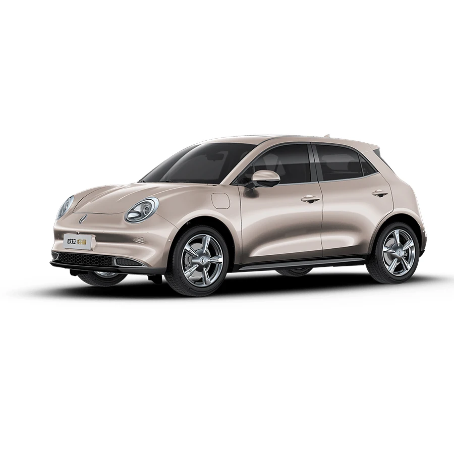 Best Selling Good Ora Cat Mini Car New Energy Vehicle Funky Cat GT 410/510km/h Ora Ballet Cat Car 2023