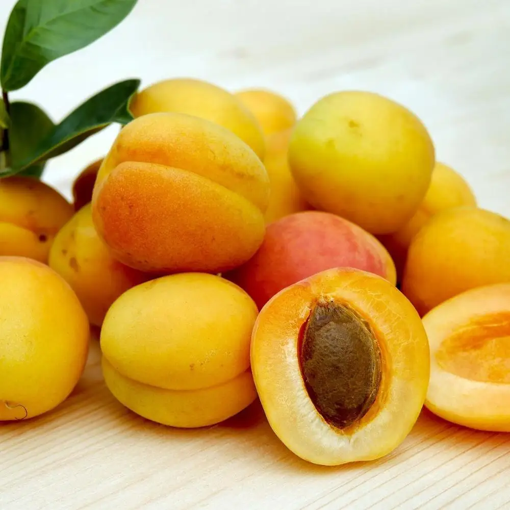 Свежие абрикосы