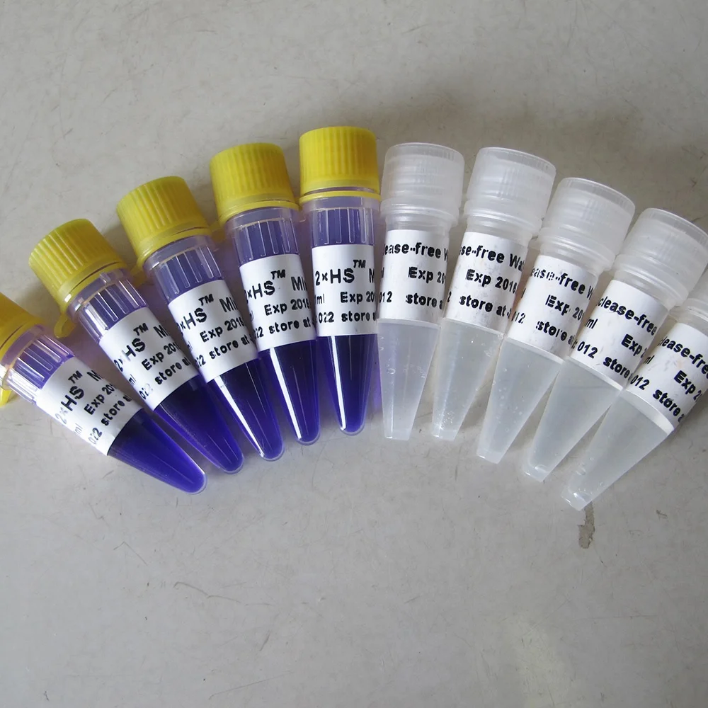 HS Master Mix, high specificity pcr, P2082 1ml x5