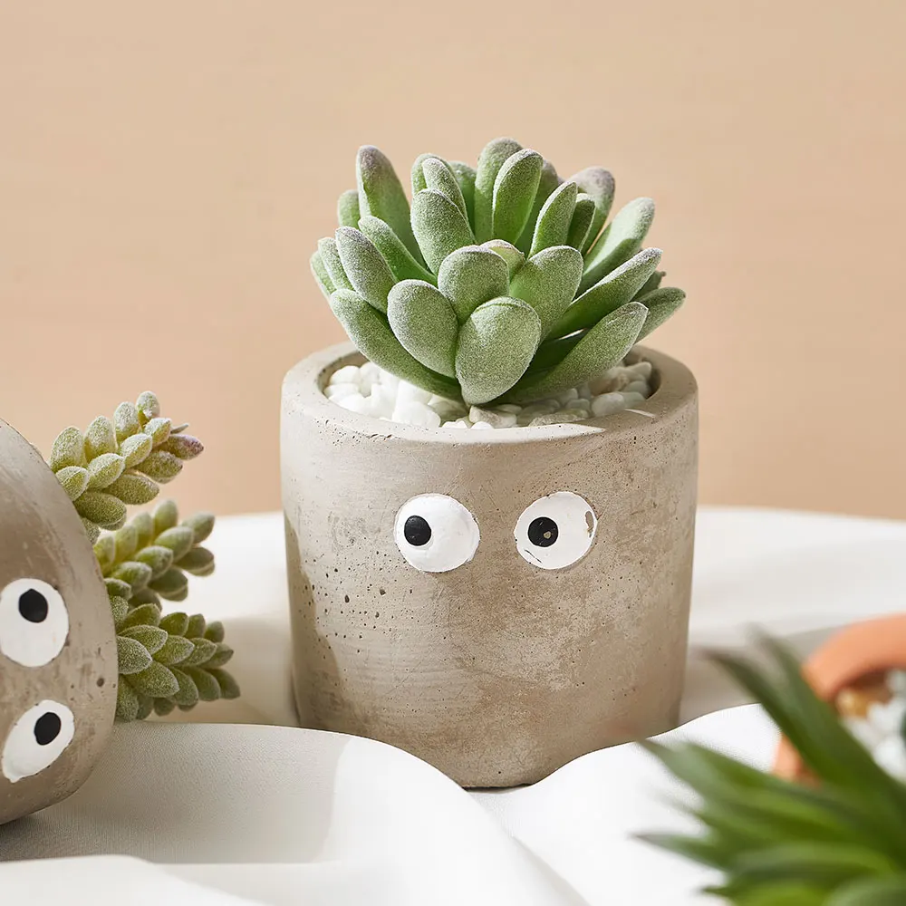Simulation big eye potted succulents garden window decoration accessories flower pot