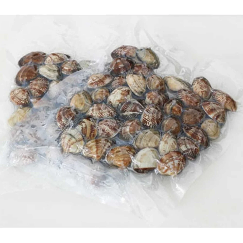 New Coming Frozen Whole Shell Boiled Short Neck Clam