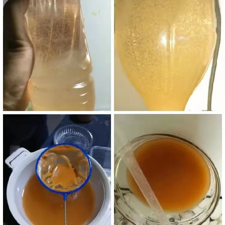 high quality 95% rate Artemia Cysts Brine Shrimp Eggs for ornamental fish bait