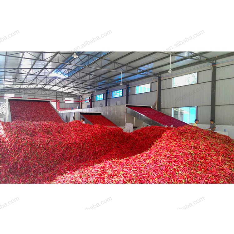 Widely Used Heat Pump Dehydrator/ Dryer/Red Chilli Drying Machine