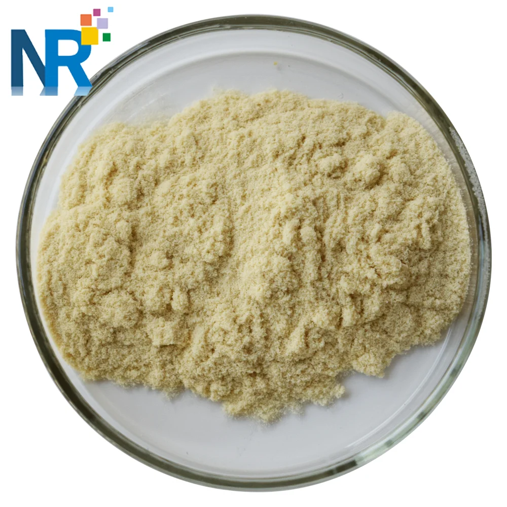 
High Quality Food Additive ginger root extract powder 
