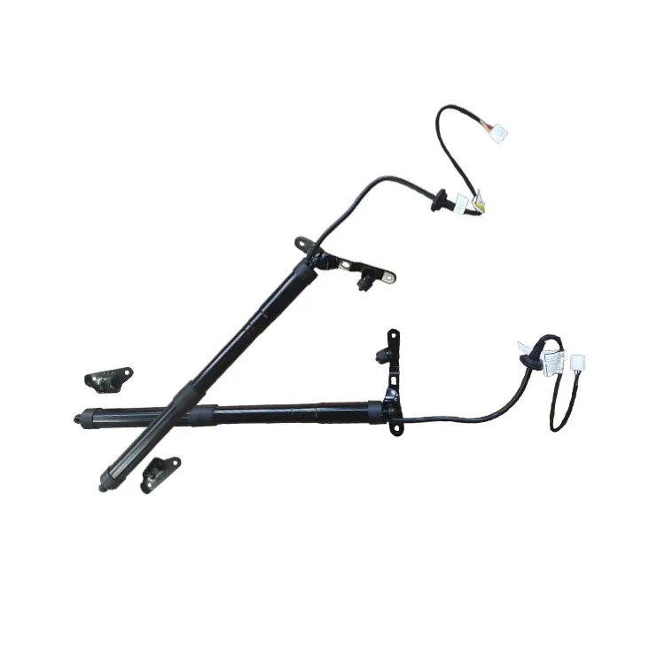 Auto Parts Power Liftgate Electric Tailgate Lift Strut Oem 6891009010 6892009010 For Toyota Rav-4 2013-2018