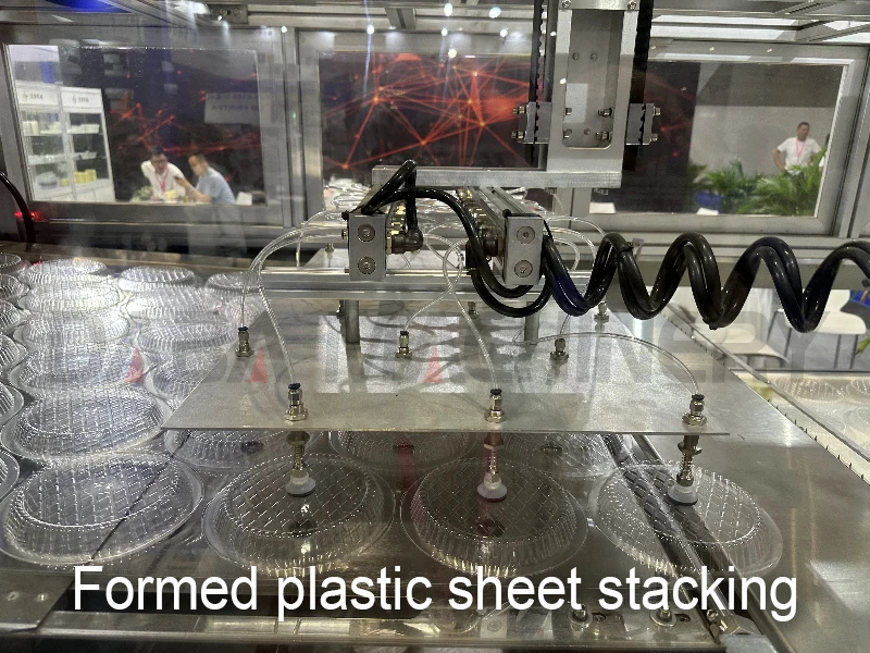 DB-63/78 pvc box transparent thermo forming machine making food container for biodegradable