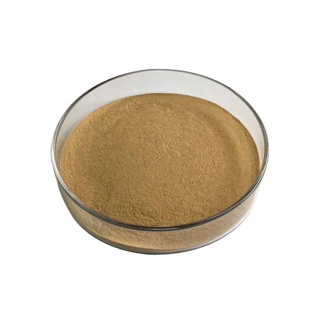 neutral protease serrapeptase enzyme powder superior quality neutral protease