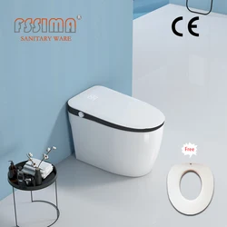 CE Europe ZN-3026 best electric intelligent automatic smart toilet Bathroom white one piece bidet toilet with remote control