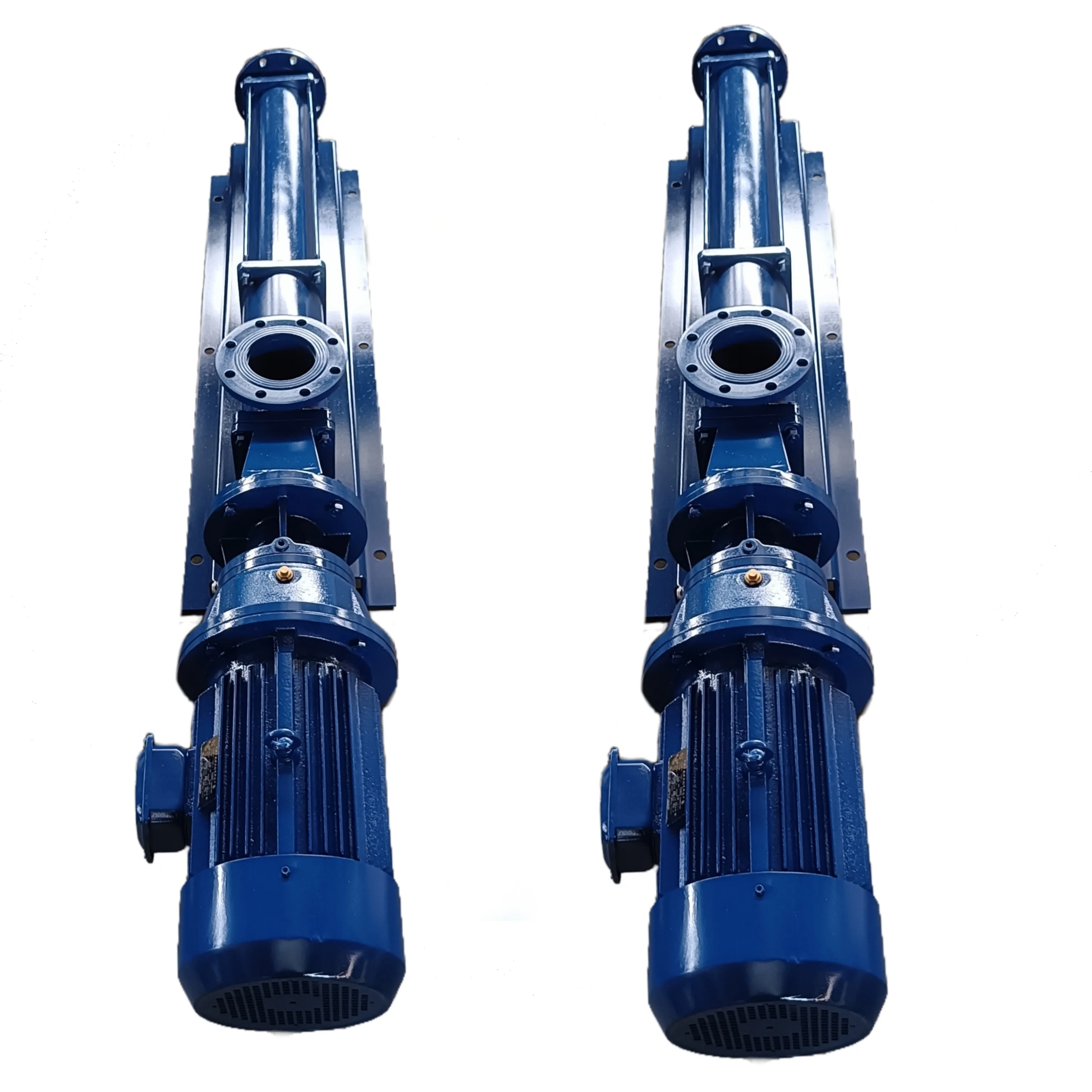 RoNice  Direct connection progressing cavity pump as Seepex BN10-12