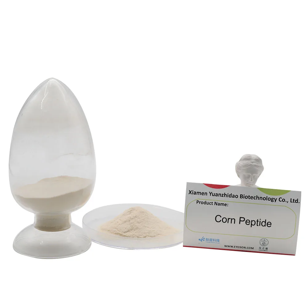 Corn Peptide Factory Hot Sale 100%  Natural Pure Corn Protein Peptide Powder  Water Soluble Corn Peptide