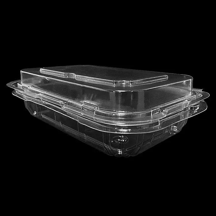 300g 500g 1000g Clear PET Plastic Fruit Square Clamshell plastic fruit packaging box Punnet Box Packaging Food Container