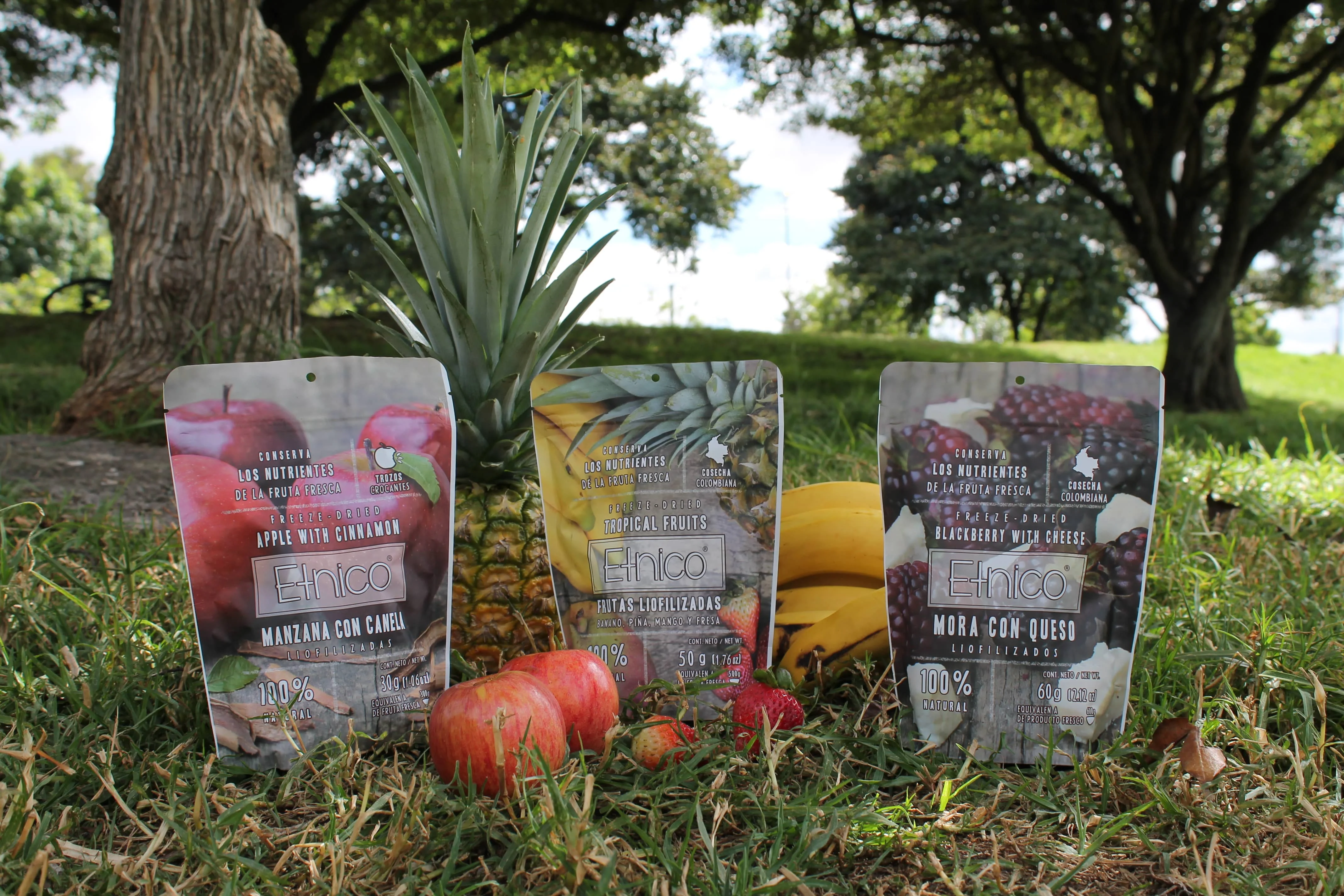 Freeze-Dried Mango Healthy Low Sugar Dried Fruit Crunchy Dry Fruit Snack Dried Tropical Druits Mango