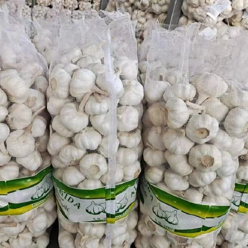 Fresh garlic for African market at factory wholesale prices