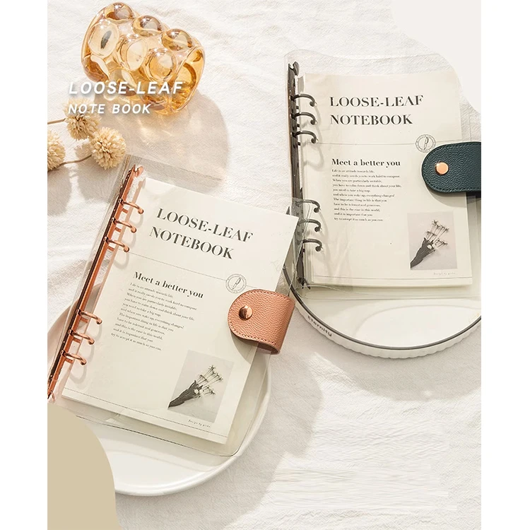 Notebook Book A5 Removable Core B5 No Scratch Notebook High Appearance Level Learning Record Transparent Loose-Leaf Book