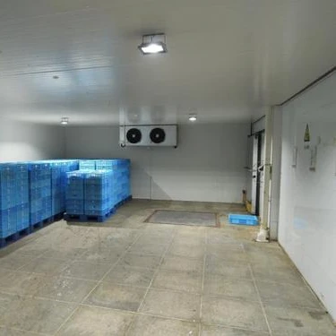 
High performance Emerson refrigeration equipment cold room of fruits and vegetables 