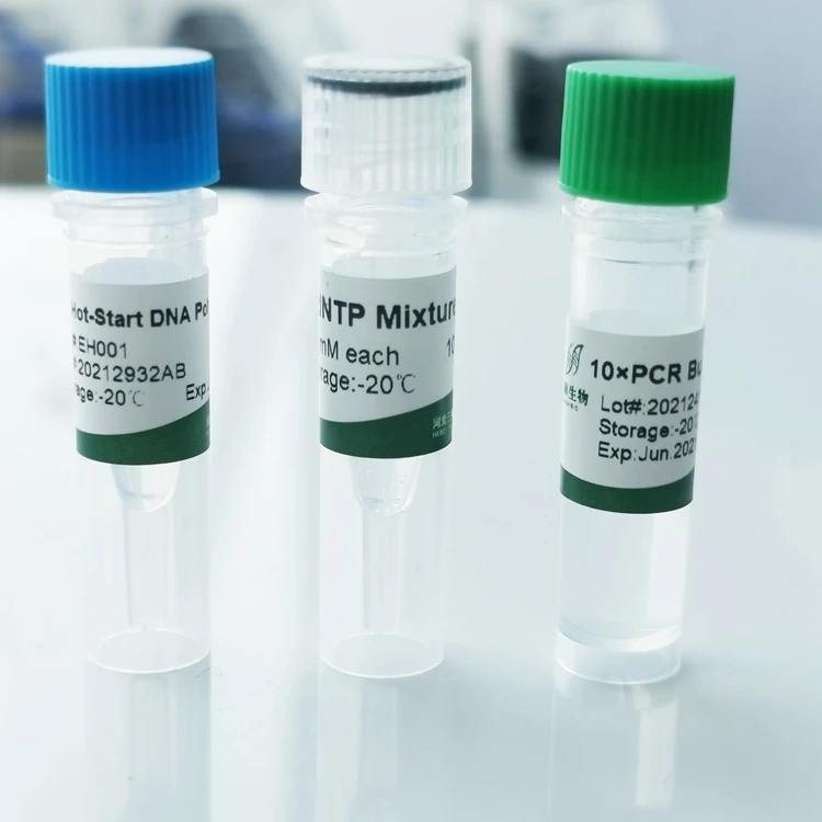 Durable sanshibio taq hot start dna polymerase chemical reagents in china
