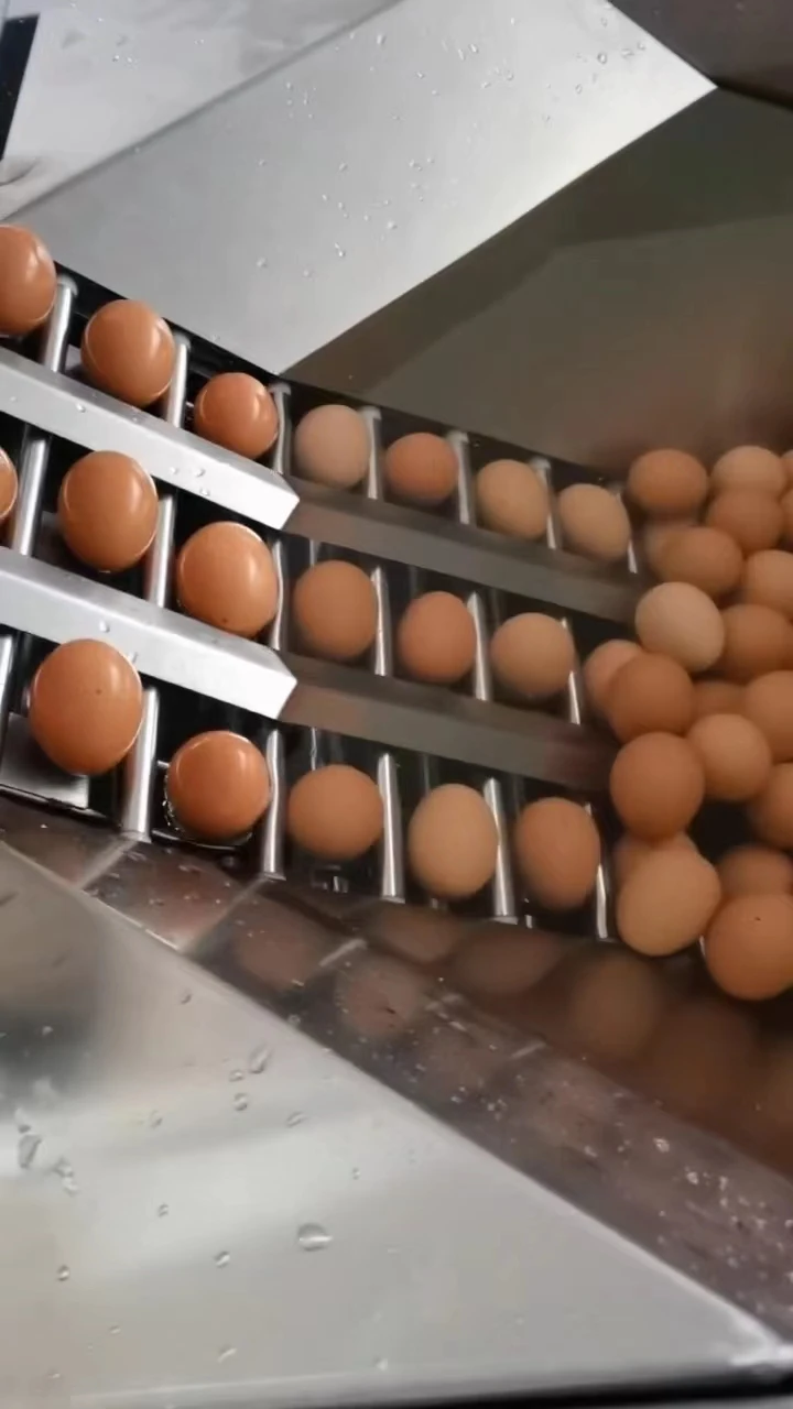 WANLI GROUP 304 Stainless Steel Egg Shell Breaking Peeling Egg Knocking Breaker White Yolk Separator Machine