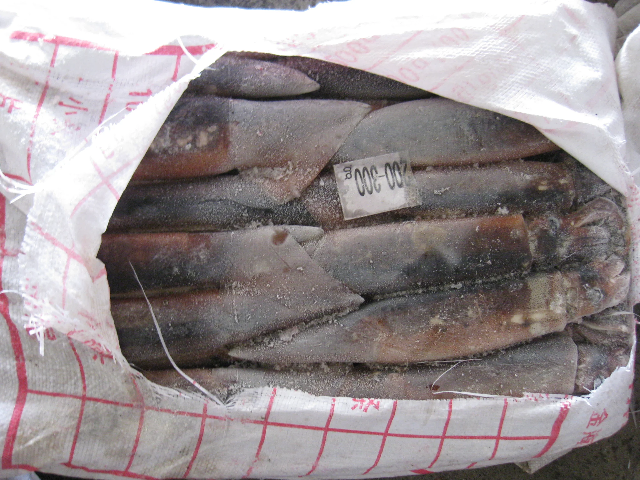 Factory hot sale product high quality healthy seafood fresh calamari frozen squid