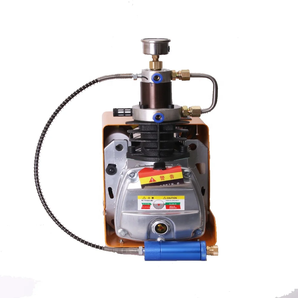 Воздушный компрессор pcp pump 110v 220v Входной электронный автоматическое отключение переменного тока бар
