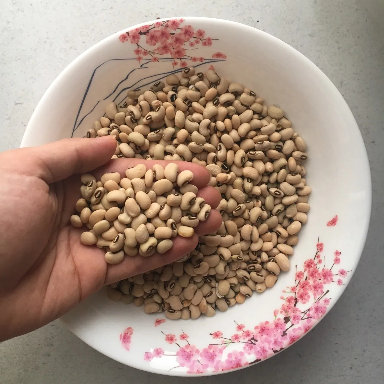 
Dried red bean and kidney bean 