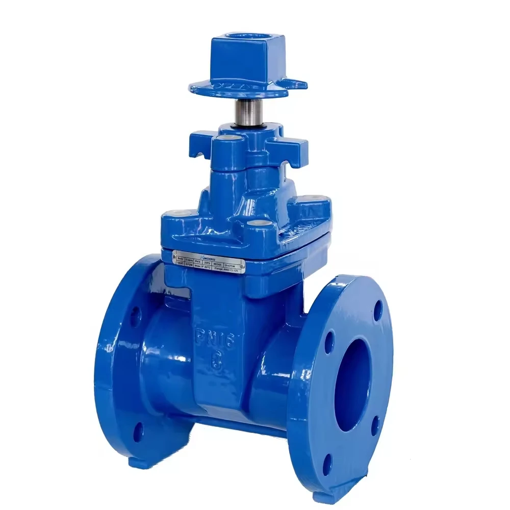 DN65 High Quality Manual Stainless Steel Flange Gate Valve   Manual Cast Iron Type Gate Valve