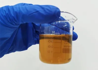 Mushroom Series Raw Material Extract Pleurotus Ostreatus Extract Dried Yellow Oyster Mushroom Powder