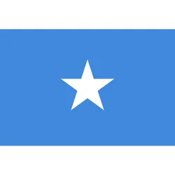 HUI FENG wholesale country cheap advertising Somalia flag National flag