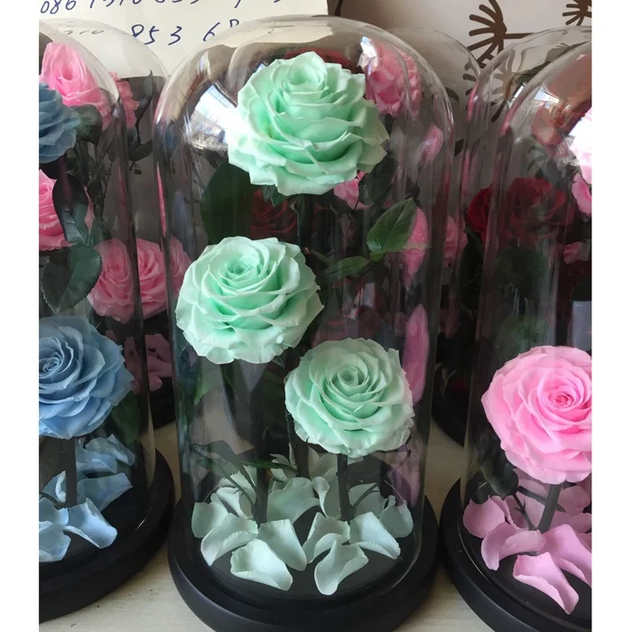 Натуральные тройные консервированные розы в стеклянном куполе в качестве подарка