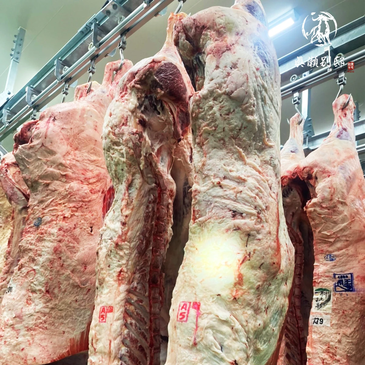 Japanese Wagyu высокое качество жир оптовая цена мясная говядина с богатым вкусом умами