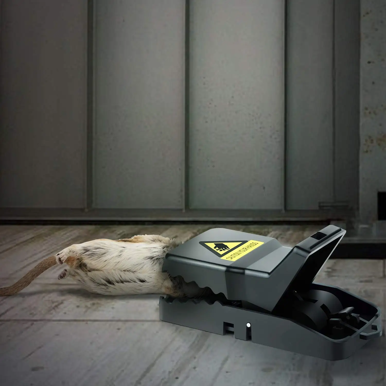 Professional Cat Safe Mouse Traps Old Mouse Trap Friendly Mouse Trap