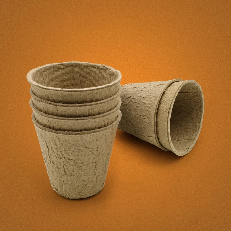 Лидер продаж обучающий домик для наблюдения за растениями Настольная игрушка выращивания семян мини-Солнечная комната игрушки растений научные наборы