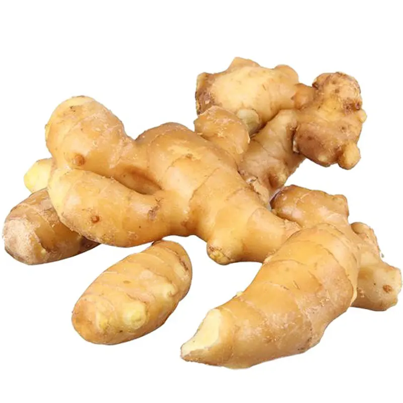 Certified Organic Fresh Ginger Fresh Ginger New Crop Fresh Ginger