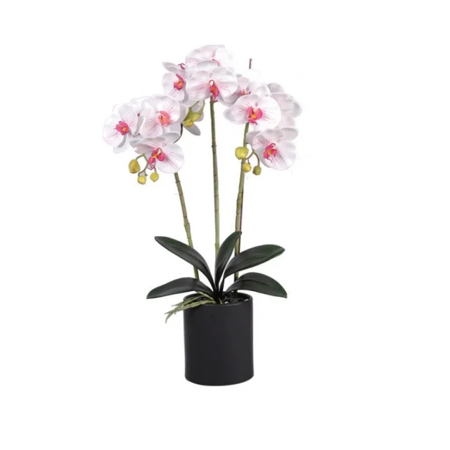 New Design Flowers Artificial Orchid Artificial Butterfly Orchid With Black Pot