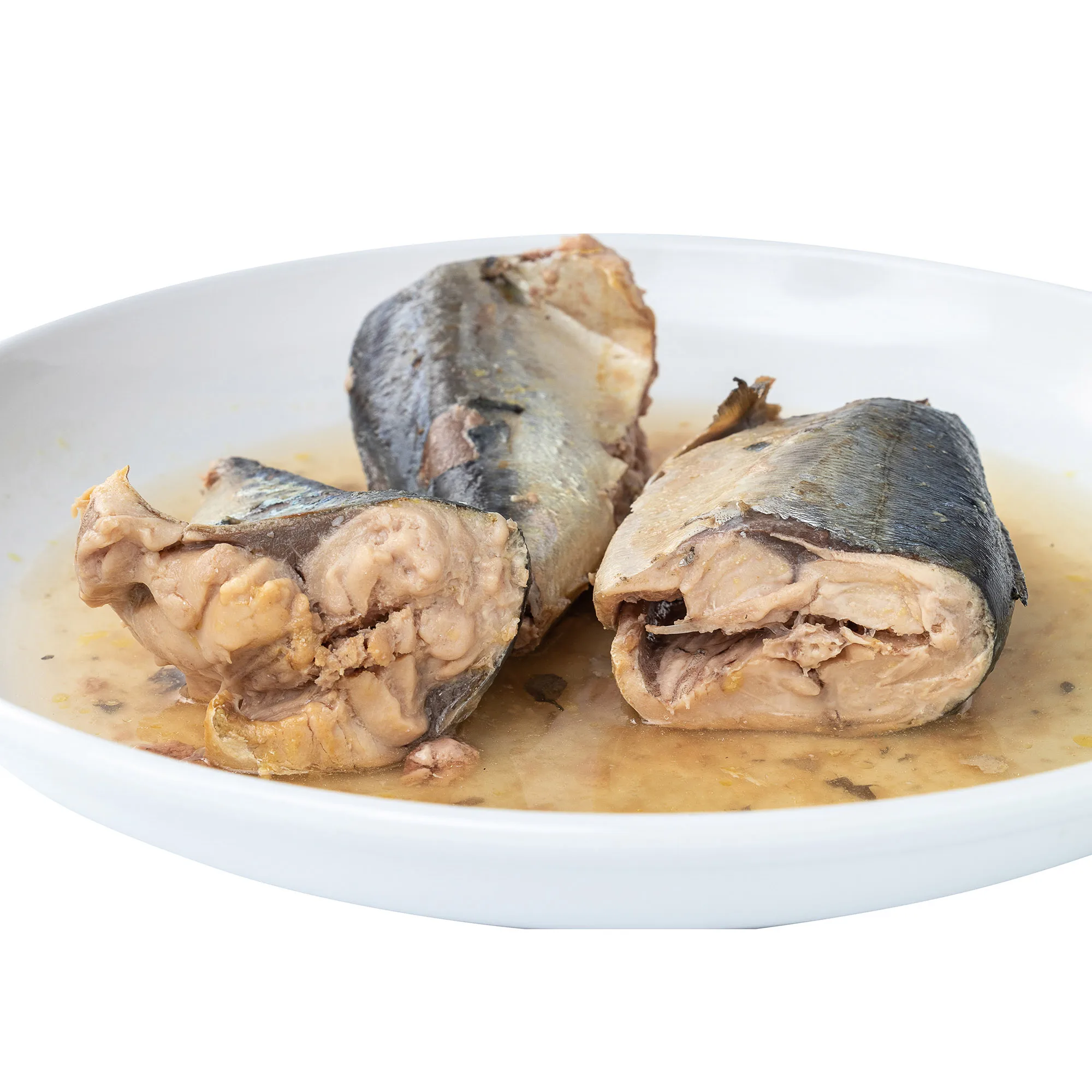 Canned mackerel in brine for Chile market fresh jurel
