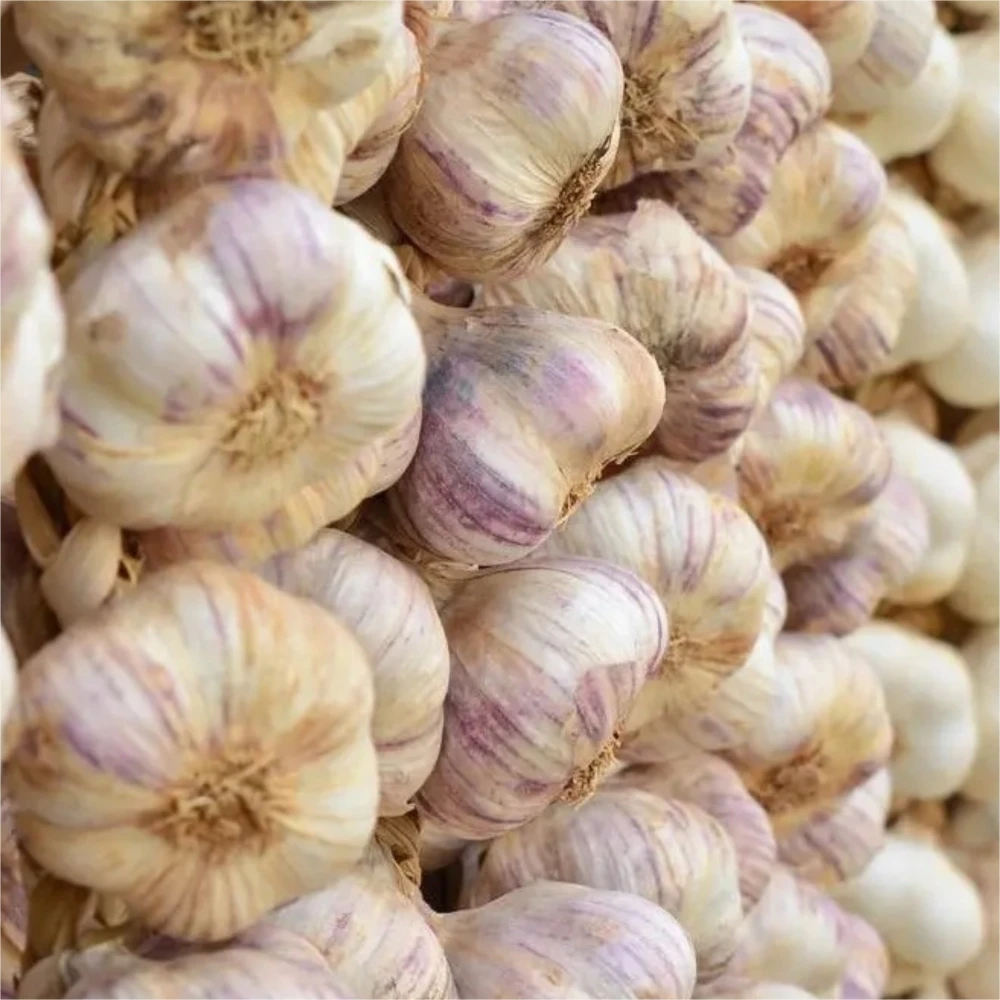 Preferential Price Natural 100% Pure White Fresh Garlic Press Onion Katsu Curry Sauce Oriental Flavor Seasoning Chicken Breast