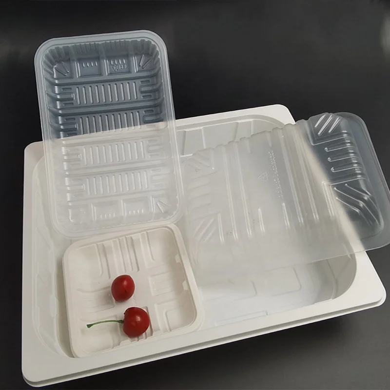 Custom Biodegradable Corn Starch Packaging Tofu Food Tray