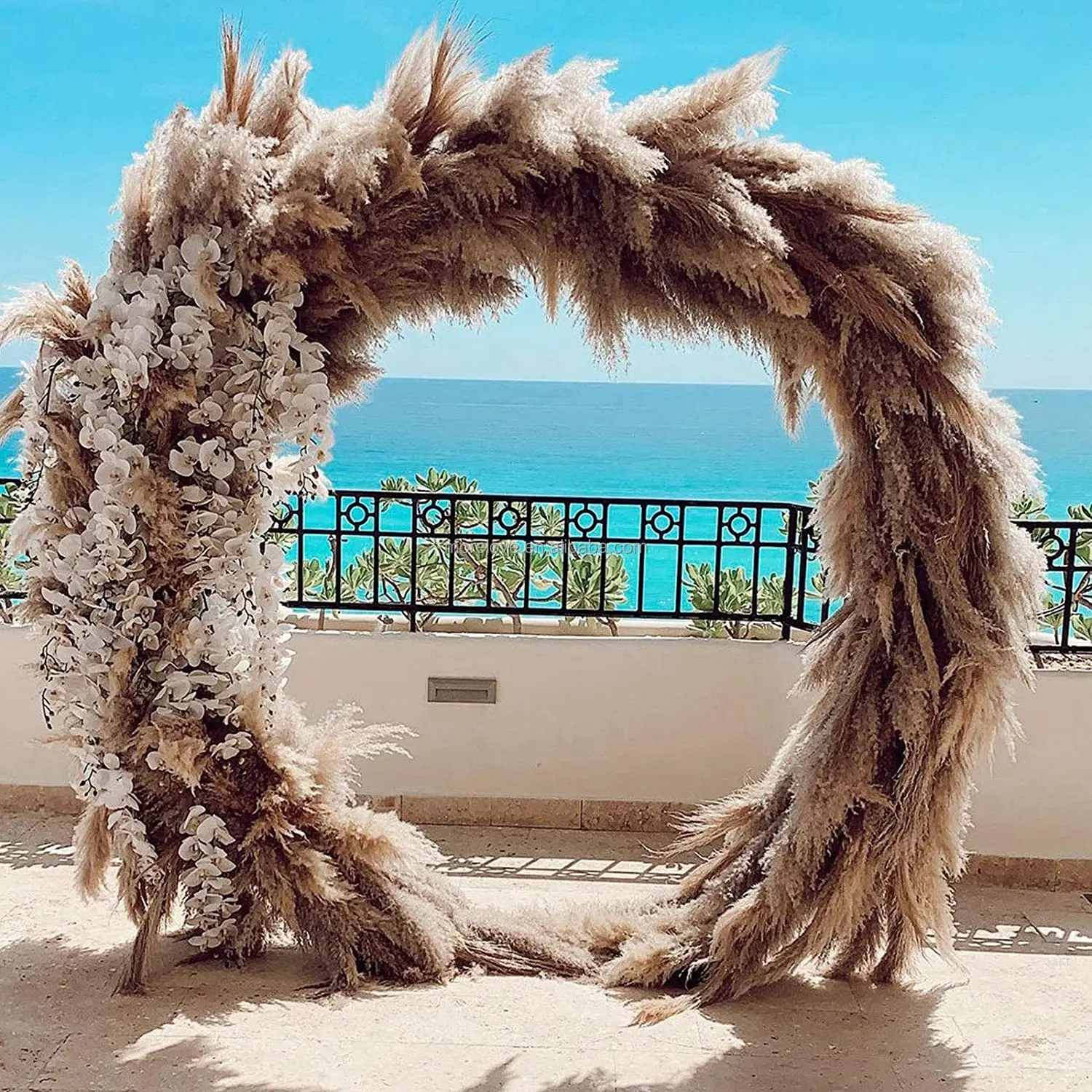 Wholesale Fluffy  Phragmite Natural Dried Pampas Grass For Wedding Decor Dried Flowers Arrangement Boho House Decor