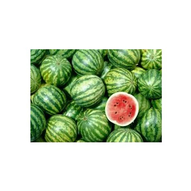 Wholesale Organic 100% Natural Prices Fresh Sweet Melons For Sale