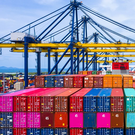 Sea from china freight forwarder fast shipping FCL LCL container qingdao tianjin to Italy Belgium Denmark