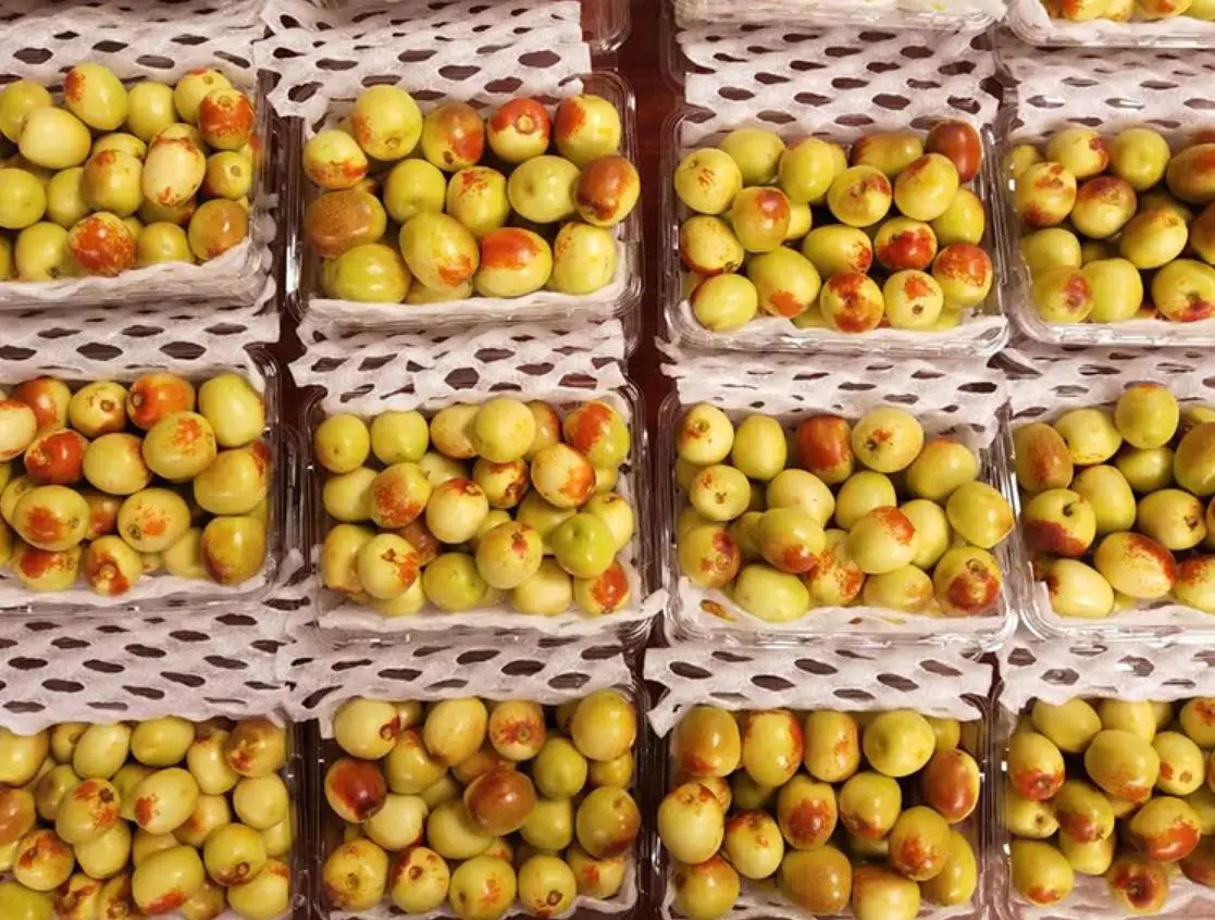 
High quality fresh winter jujube farm directly wholesale price 