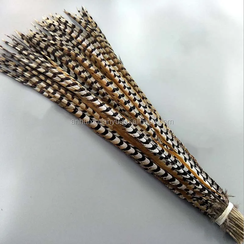 Wholesale natural 10-160cm Reeves Pheasant Tail Feather