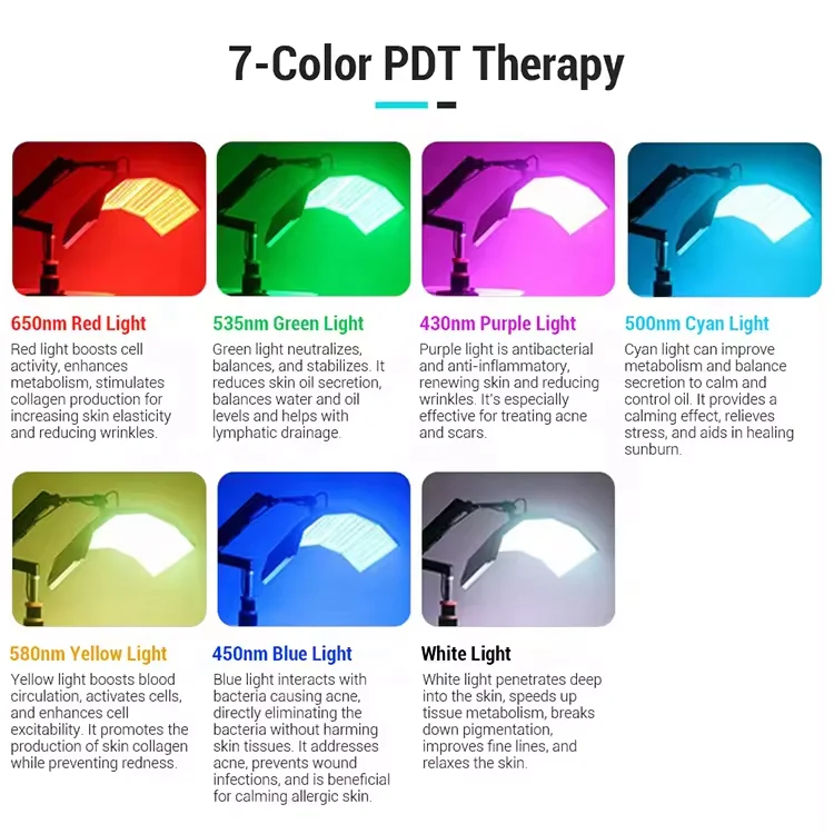 Beauty Salon 7 Color Photon Skin Rejuvenation Facial Beauty Pdt Led Light Therapy Machine