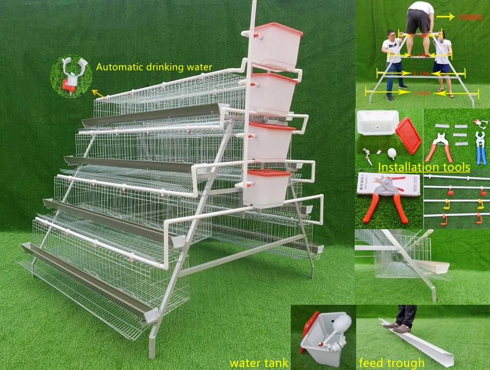Welded Wire Mesh  Egg Layer Chicken cage Used For Hens
